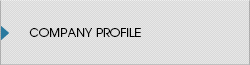 Company profile